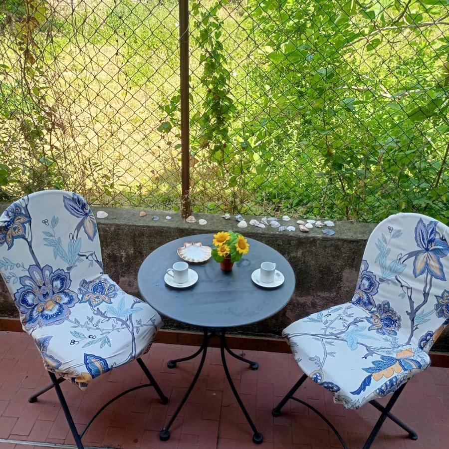 Beatiful Modern Flat Venice Centre With Private Lounge Green Area Relax Dış mekan fotoğraf